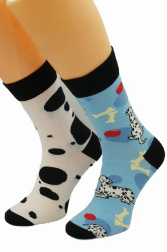 DSC00429-photoaidcom--photoaid-remove-background (1).JPG